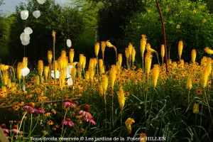 RENDEZ-VOUS AU JARDIN