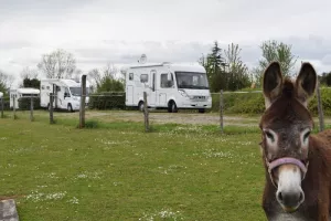 Visite découverte : Accueil de camping cars et hébergement insolite