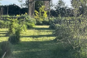 Visite Hortus Mandala