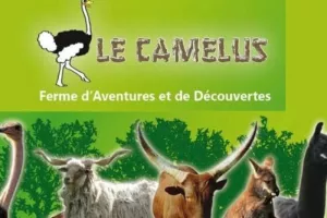LE CAMELUS, FERME PEDADAGOGIQUE A GUYVELDE