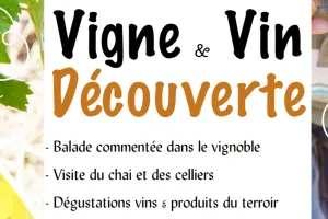 Vigne et vin découverte | Domaine du Siorac
