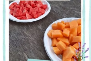 A la découverte du melon du Poitou