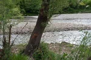 Une rivière au pied de mon immeuble
