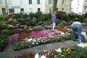 Grand marché aux fleurs