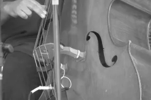 Concert de jazz avec la Cie du Souffle aux Cordes