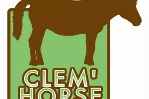 Séance enfants avec Clem'Horse