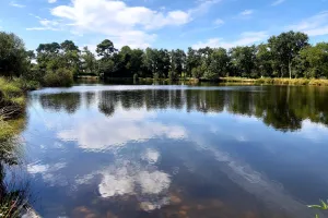 Festival Ychoux en scènes