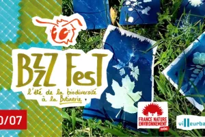 Bzzz Fest | Cyanotype : impression à l'ancienne