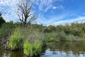 La Brenne, mosaïque de milieux