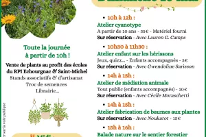 Arc en ciel des plantes