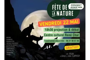 Projection "Le clan des renards"