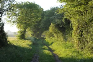 Visite "Le bocage aux aurores"