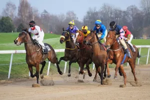 Journée festive et familiale à l'Hippodrome