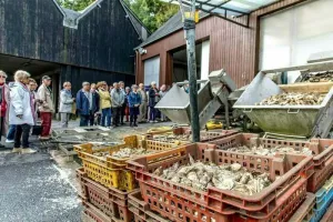 Découvrez la ferme Marine de Cancale et son savoir-faire !