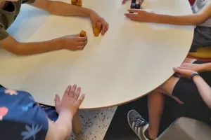 Oiseaux volants non identifiés