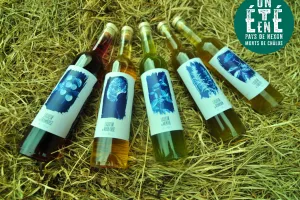 À la rencontre des producteurs - La Distillerie Dandelion