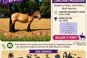 Les Sapinnettes