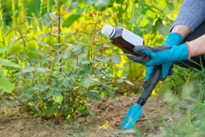 Atelier de permaculture