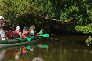 Balade sur le delta de la Leyre en canoë collectif entre Audenge et Biganos