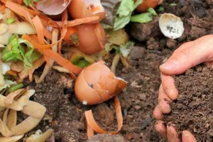 Atelier : Réussir ses composts