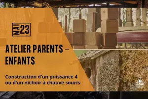 Atelier parents-enfants - Initiation au travail du bois