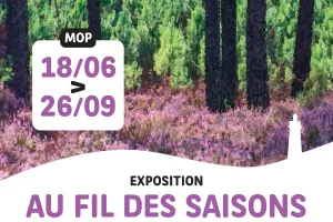 Vernissage exposition Au fil des saisons