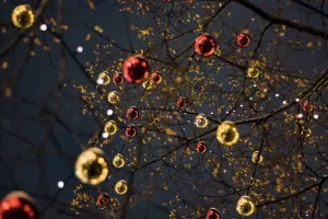 Décoration des sapins de Noël