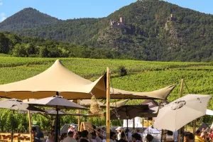 ALSACE ROCKS ! La Tournée des Terroirs - Etape #8