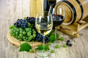 Salon des Vignerons