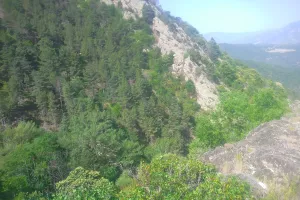 RANDO ACCOMPAGNEE : CHAPELLE SAINT-ETIENNE DE POMERS ET LA FORET DE CLARA