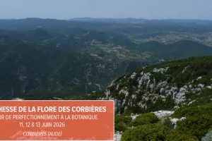 Séjour de perfectionnement à la botanique