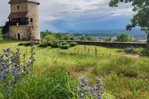 Visites guidées  - portes ouvertes au Château de Chevreaux