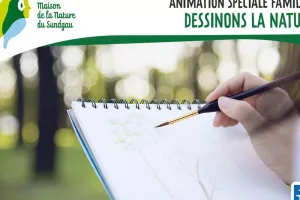 Dessinons la Nature