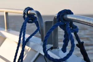 Croisière du dimanche sur l'estuaire à Terres d'Oiseaux