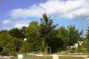 Découverte libre d'un jardin sec public