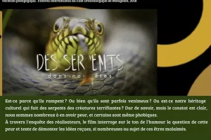 PROJECTION / DÉBAT - DES SERPENTS DANS NOS TÊTES