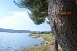 Eco balade autour de l'étang de Berre