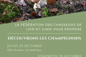 Instants Nature - Découvrons les champignons à Seur