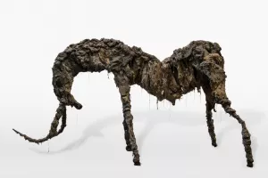 Vernissage de l'exposition : "Un Désir Souterrain" à la MAGCP de Cajarc