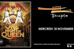 Spectacle - One night of Queen