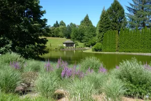 Aventuriers du parc, insectes et oiseaux à la loupe