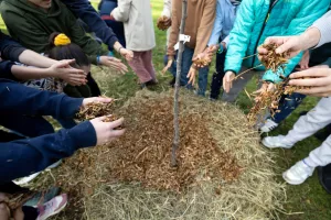 Le Plan canopée et l'arbre, un allié pour bien vivre en ville