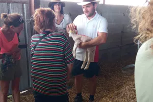 Accueil à la Ferme : Ferme Bovine et Ovine à Parcoul et Brasserie "Dobla" à Servanches