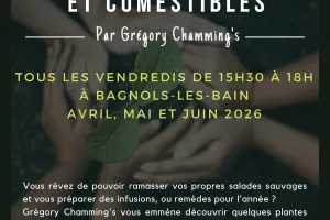 BALADE NATURALISTE : PLANTES SAUVAGES ET COMESTIBLES