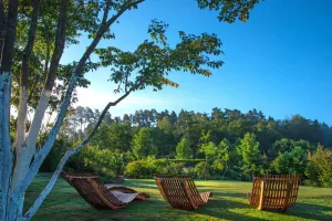 Séance yoga aux Jardins Sothys