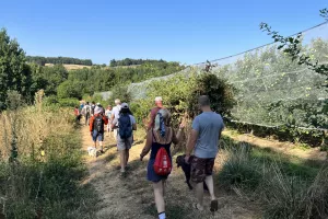 Route de la Pomme du Limousin - Visite verger 2026