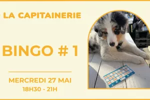 Mercredi Bingo # 1