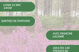 A la découverte des plantes sauvages, médicinales et comestibles avec Francine