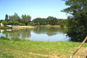 Flore du marais de Laromet
