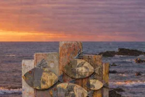 L’Expo du bord de mer, par Dominique Ledentu